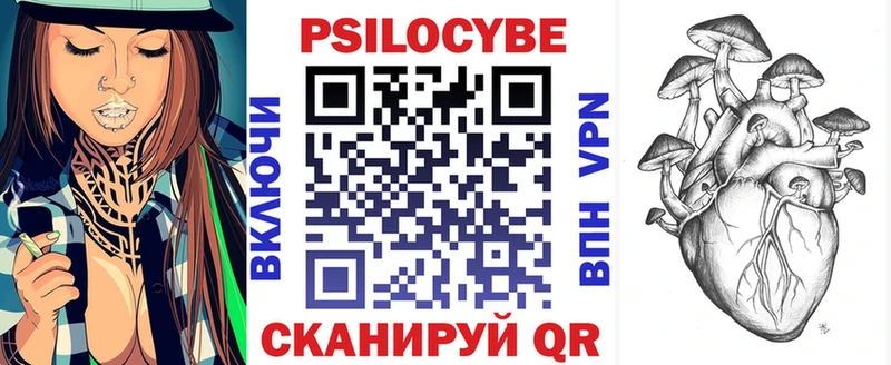 купить   Лермонтов  Галлюциногенные грибы GOLDEN TEACHER 